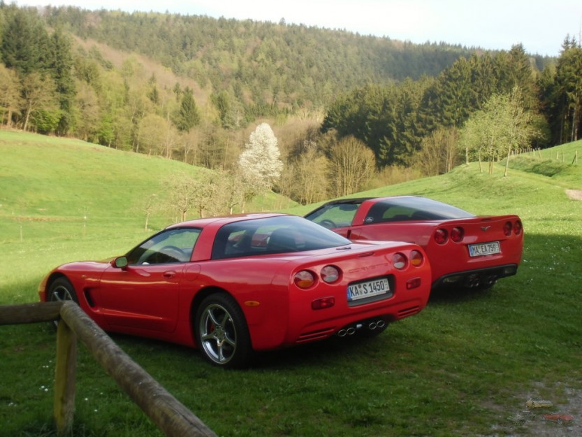 CIMG3958 (FILEminimizer).JPG